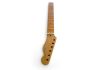 Fender Telecaster American Professional 2 Roasted Maple Neck