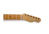 Fender Telecaster American Professional 2 Roasted Maple Neck