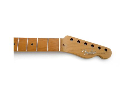 Fender Telecaster American Professional 2 Roasted Maple Neck
