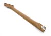 Fender Telecaster American Professional 2 Roasted Maple Neck