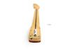 Fender Stratocaster Player Pau Ferro neck 22 frets FSR Limited