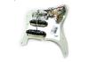 Geladenes Schlagbrett Fender Stratocaster Player Plus HSS Mintgrün