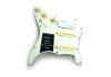 Geladenes Schlagbrett Fender Stratocaster Player Plus HSS Mintgrün