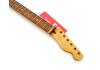 Fender Tele® Player Plus Pau Ferro Maple neck medium Jumbo frets