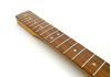 Fender Tele® Player Plus Pau Ferro Maple neck medium Jumbo frets