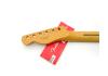 Fender Tele® Player Plus Pau Ferro Maple neck medium Jumbo frets