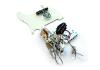 Loaded Pickguard Telecaster Player Plus Noiseless Push Pull