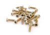 Fender Roadworn screws for pickguard or Strat Tele plate (24)