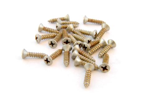 Fender Roadworn screws for pickguard or Strat Tele plate (24)