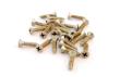 Fender Roadworn screws for pickguard or Strat Tele plate (24)