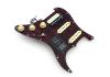 Loaded Pickguard Fender Strat® Player HSS Tortoise Celluloide Zebra
