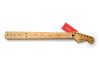 Fender Stratocaster Player Plus Top Maple 22 fret neck