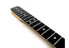 Fender Telecaster Player Plus FSR neck 22 fret ebony fingerboard