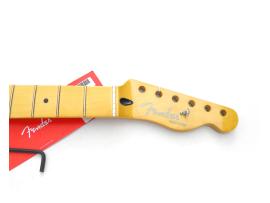 Fender Tele® Player Plus Maple Neck , medium Jumbo frets