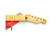 Manche Fender Tele® Player Plus Maple frettes medium Jumbo