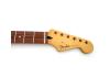 Fender Strat® Player Plus Pau Ferro Maple Neck 22 Jumbo Bünde