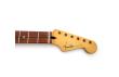 Fender Strat® Player Plus Limited Edition Neck Black Logo Pau Ferro