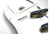 Loaded Pickguard Fender Strat Am Professional 2020 FSR Vmod Tortoise