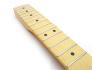Manche Telecaster Fender Deluxe Series Thinline érable Maple