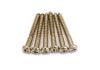 Fender Stratocaster Phillips Screws American Vintage Tremolo Fixing (12)