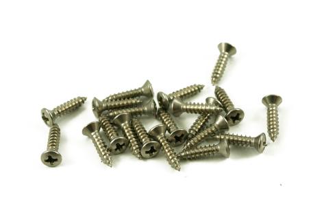 Tornillos Phillips para golpeador estándar de acero inoxidable Fender