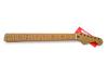 Mástil Strat® Player Mástil de arce tostado Edición limitada 2024