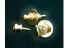 Cerraduras De Correa Schaller Grover Deluxe Oro