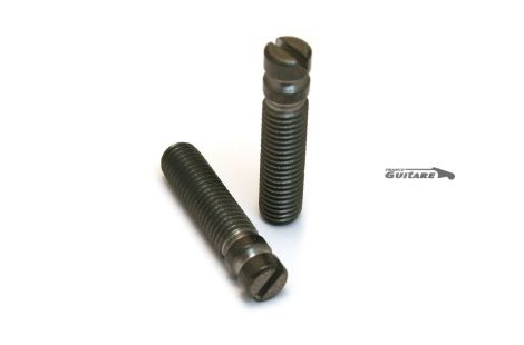 Pair of Screw Pivots for Tremolo Stratocaster American Standard