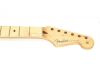 Echter Fender Stratocaster American Professional Ahornhals