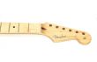 Echter Fender Stratocaster American Professional Ahornhals