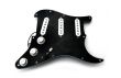 Loaded Pickguard Fender Stratocaster Player Plus Top SSS Mexico