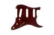 Fender Stratocaster Schlagbrett 57 Tortoise Celluloid 8-Loch 4-lagiges