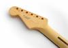 Fender Player Strat Ärmel Pau Ferro Block Inlays 22 medium jumbo bünde