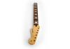 Fender Player Strat Ärmel Pau Ferro Block Inlays 22 medium jumbo bünde