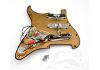 Loaded Pickguard Fender black Strat David Gilmour Custom Shop Acrylic