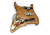 Loaded Pickguard Fender black Strat David Gilmour Custom Shop Acrylic